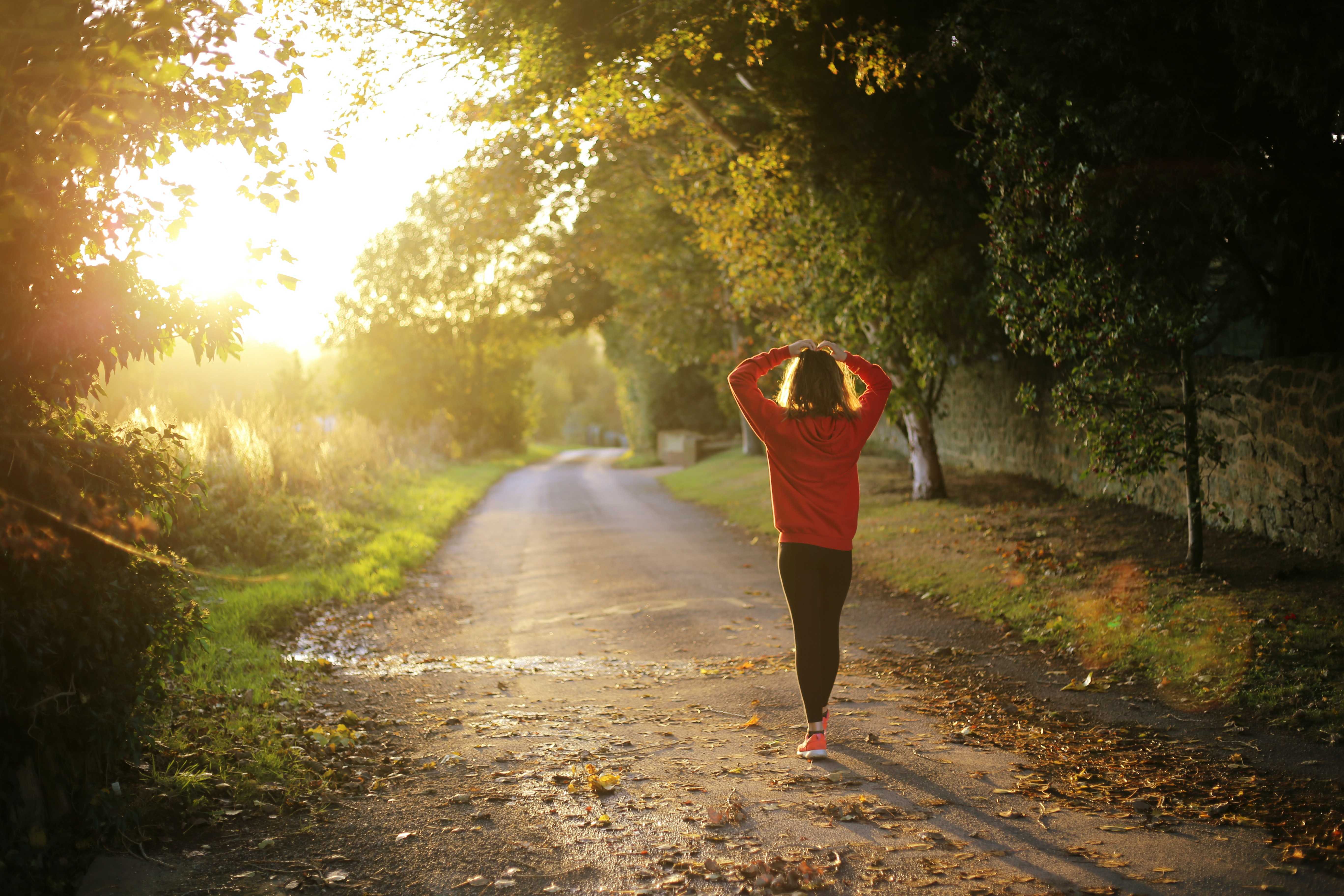 Nature Does Good Things to the Human Brain